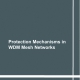 Protection Mechanisms in WDM Mesh Network-0