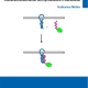 Funktionale Nucleinsäuren: Komplexe mit Kohlenstoffnanoröhren und synthetische C-Nucleoside-0