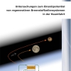 Untersuchungen zum Einsatzpotential von regenerativen Brennstoffzellensystemen in der Raumfahrt-0