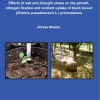 Effects of Salt and Drought Stress On the Growth, Nitrogen Fixation and Nutrient Uptake Od Black Locust ( Robinia Pseudoacacia L.) provenances-0