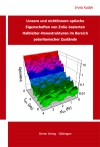 Lineare und nichtlineare optische Eigenschaften von ZnSe-basierten Halbleiter-Nanostrukturen im Bereich polaritonischer Zustände-0