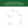 Bioactive Mandalarpyrones, their Derivatives and Further Novel Secondary Metabolites from Marine and Terrestrial Bacteria-0