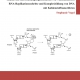 Reaktivität und Bindungseigenschaften von Nukleinsäuren:RNA-Replikationsschritte und Komplexbildung von DNAmit Kohlenstoffnanoröhren-0